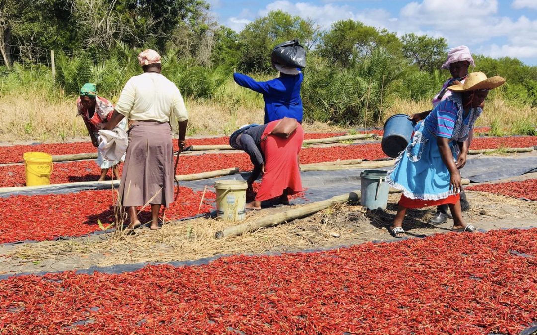 Updates from our projects during the month of March